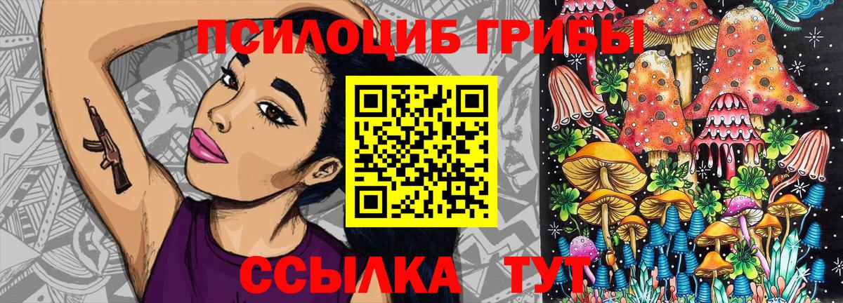Волжский  Галлюциногенные грибы Psilocybine cubensis  Вход с VPN 