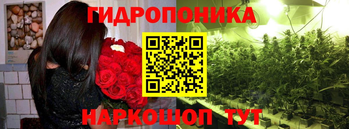 Бошки Шишки индика Волжский